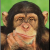 ThinkingMonkey