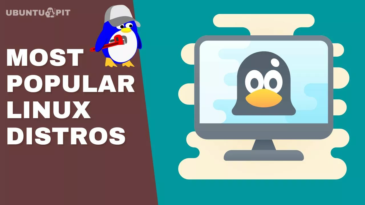5 Most Popular Linux Distros: Which One is Right for You?