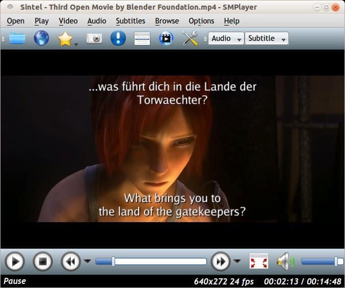 SMPlayer, Linux Video Players