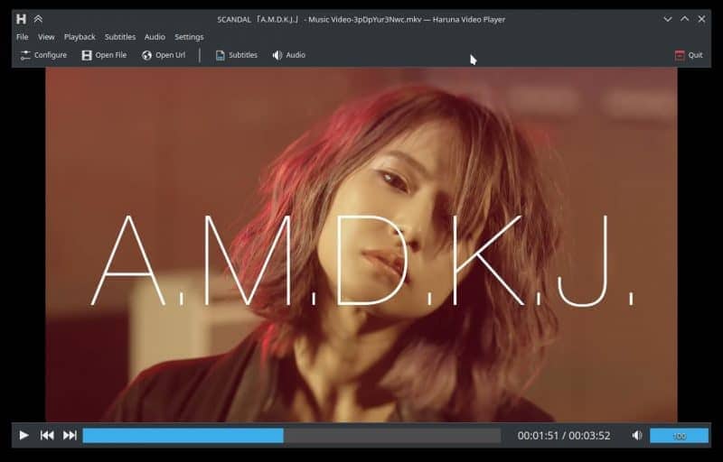 Haruna Media Player