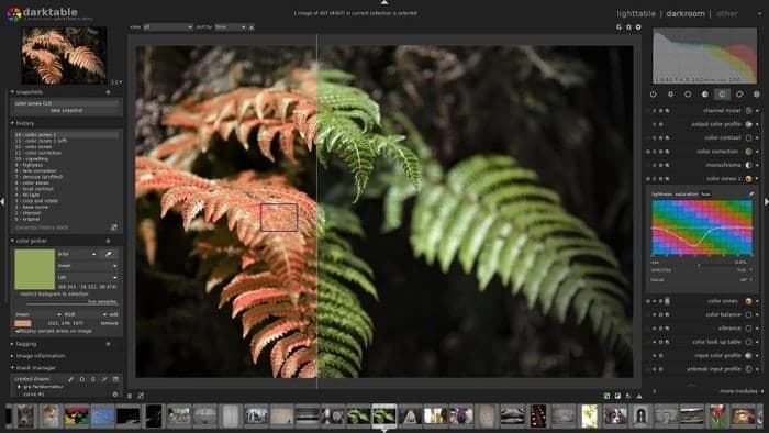 darktable’s darkroom mode with an image opened