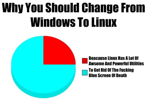 Linux or Windows - Blue Screen