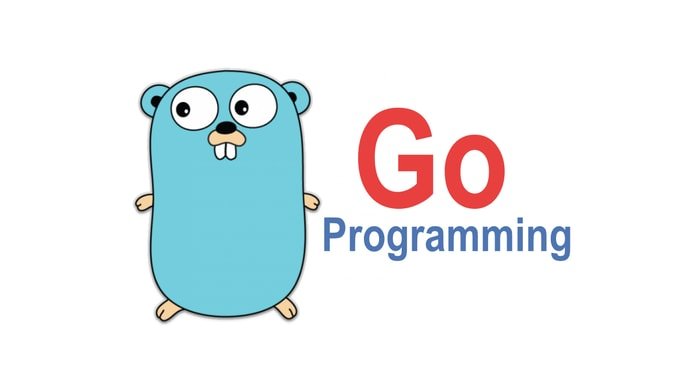 GO programming language