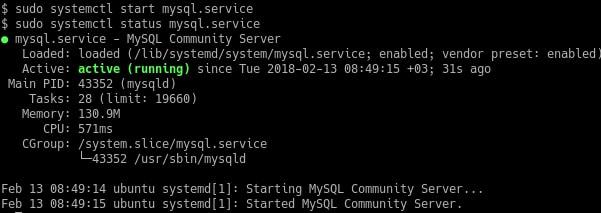 Testing the MySQL Installation