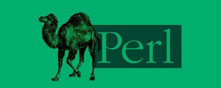 perl programming language
