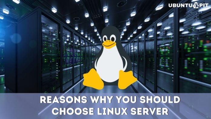 Reasons Why You Should Choose Linux Server