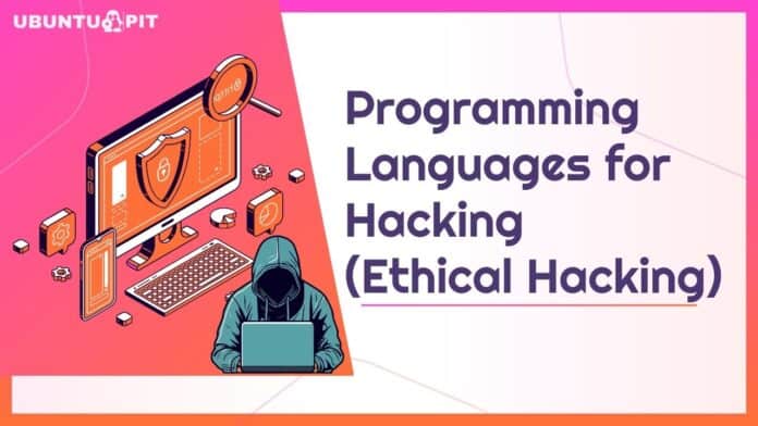 Best Programming Languages for Hacking (Ethical Hacking)