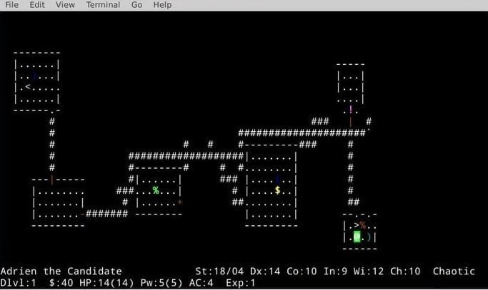 Nethack