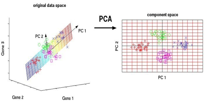 pca