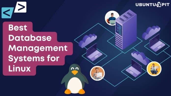 Best Database Management Systems for Linux