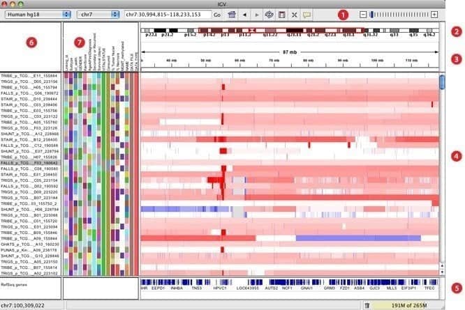 igv bioinformatics tool