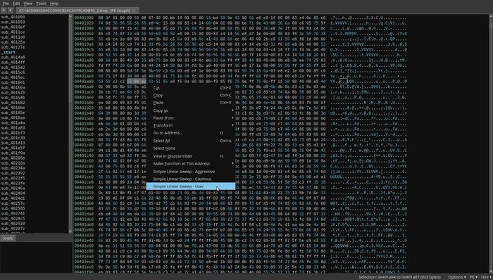 binary ninja linux hex editor