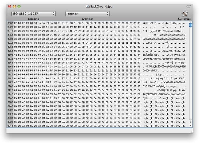 hexanitor linux hex editor