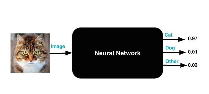 Neural Networks