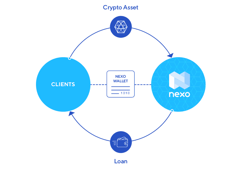 Nexo top cryptocurrency