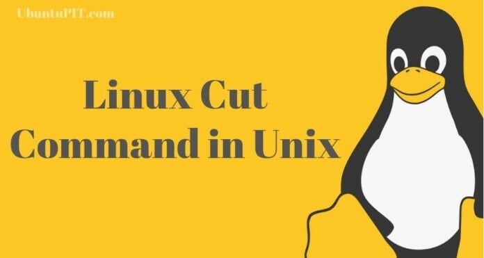 Useful Linux Cut Command in Unix with Examples