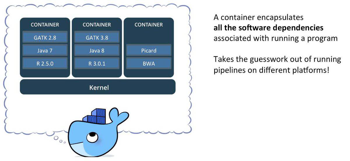 An instruction of docker container on right and details shown in box on left; white background