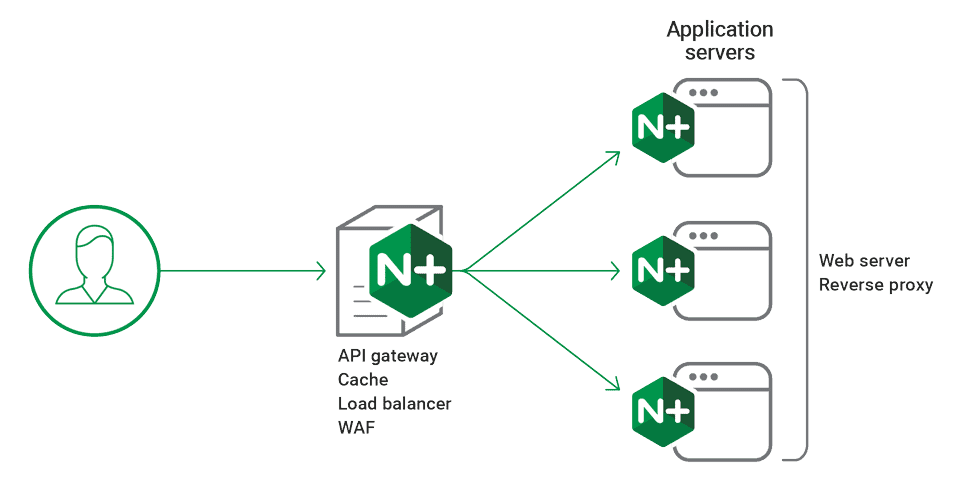 Nginx web server