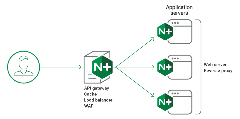 Nginx web server