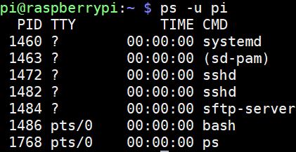 ps raspberry pias commands