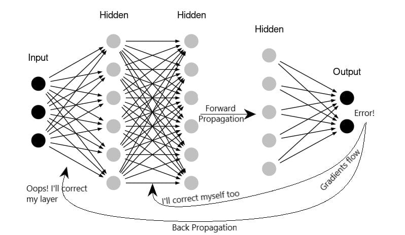 variants of Back Propagation