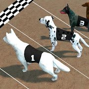 Crazy Dog Racing