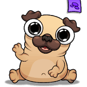 Pug