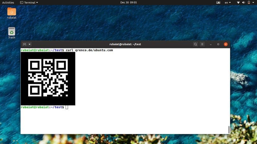 QR code using CURL