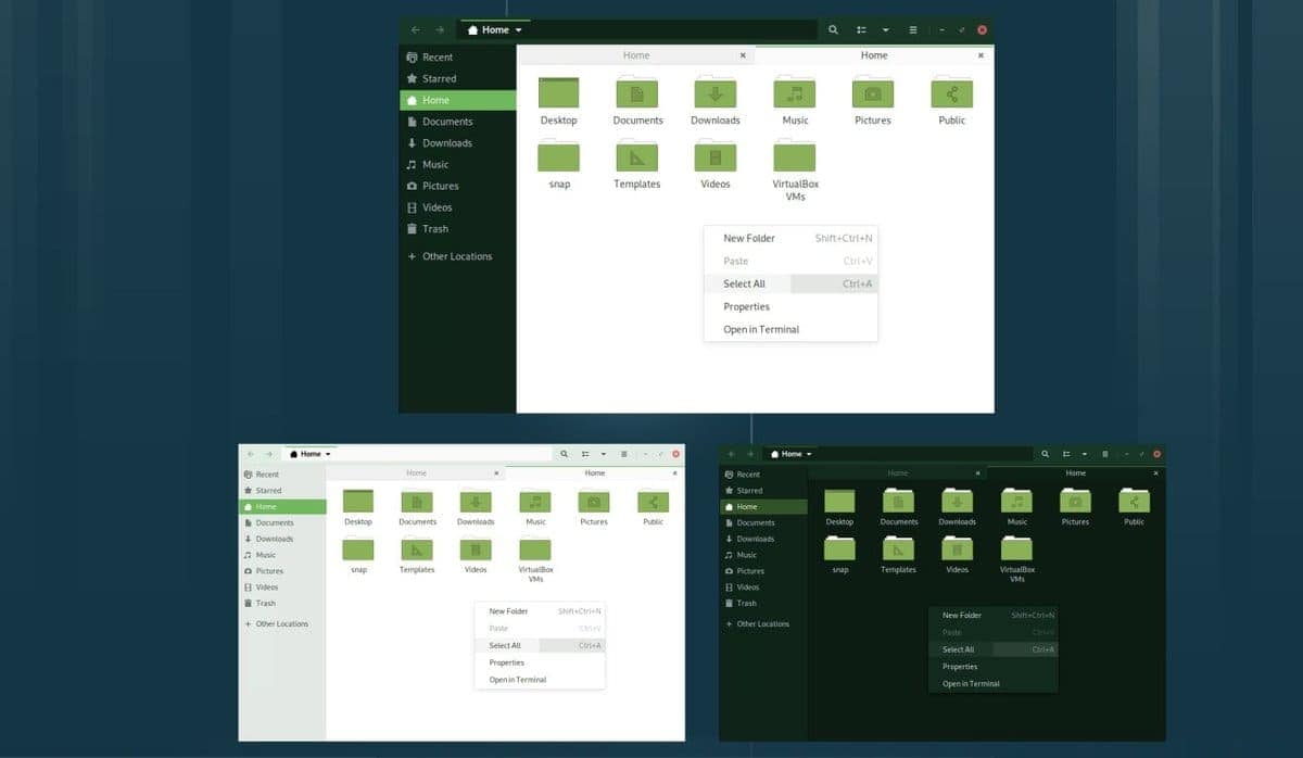 forest mate themes