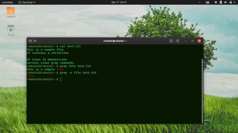 intro to linux grep command