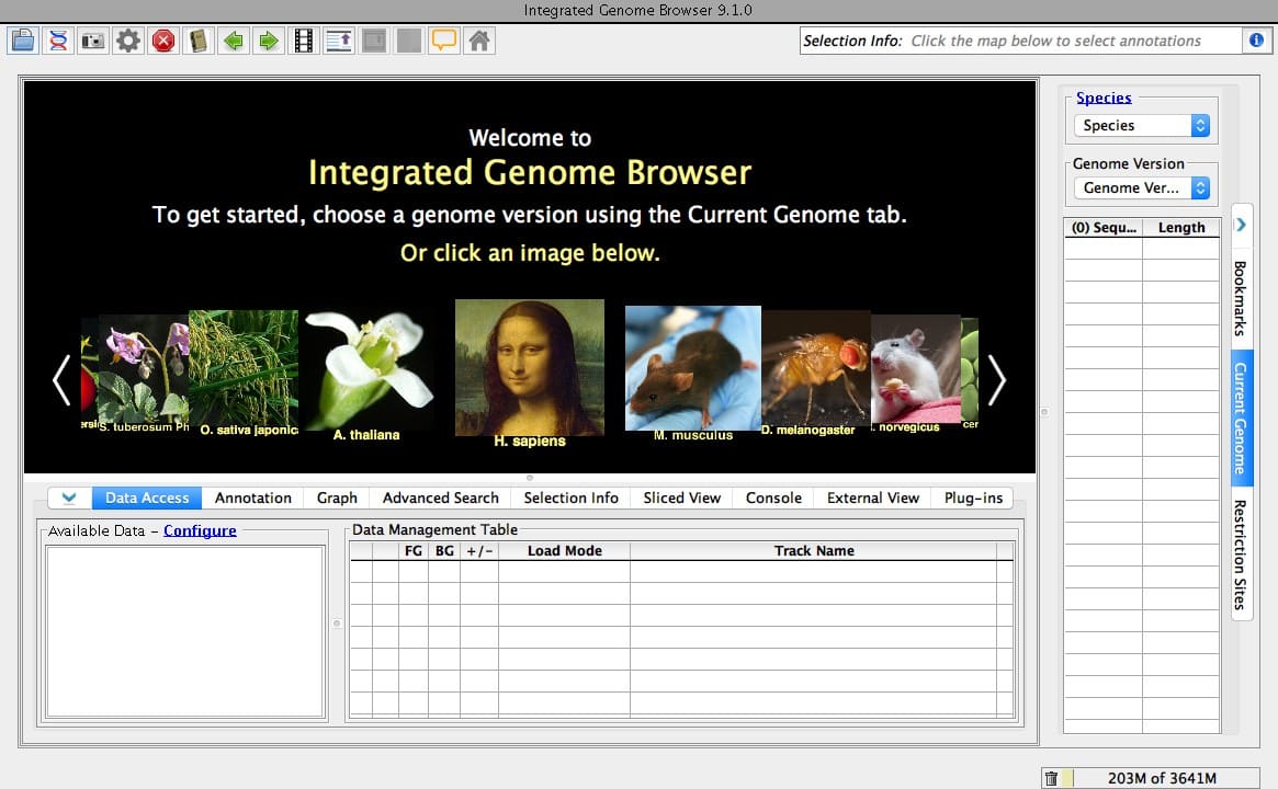 12. Integrated Genome Browser