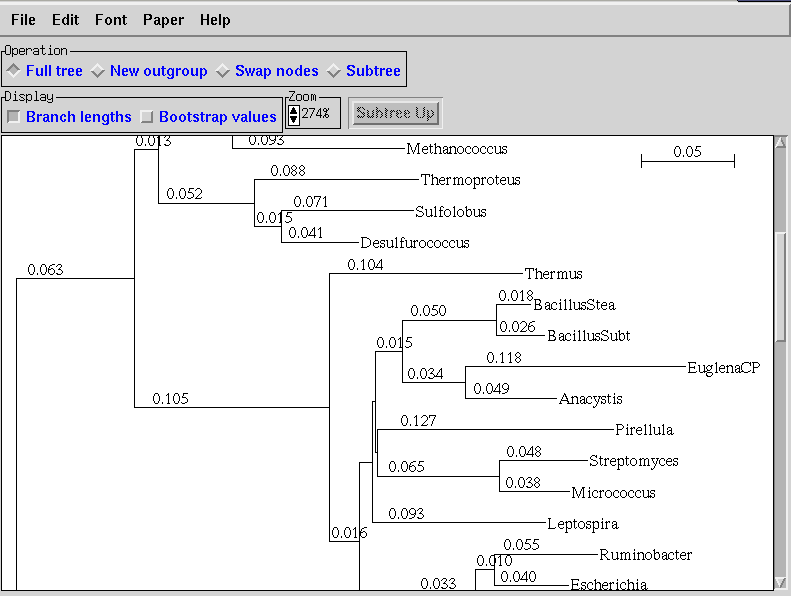 8. TREE-PUZZLE