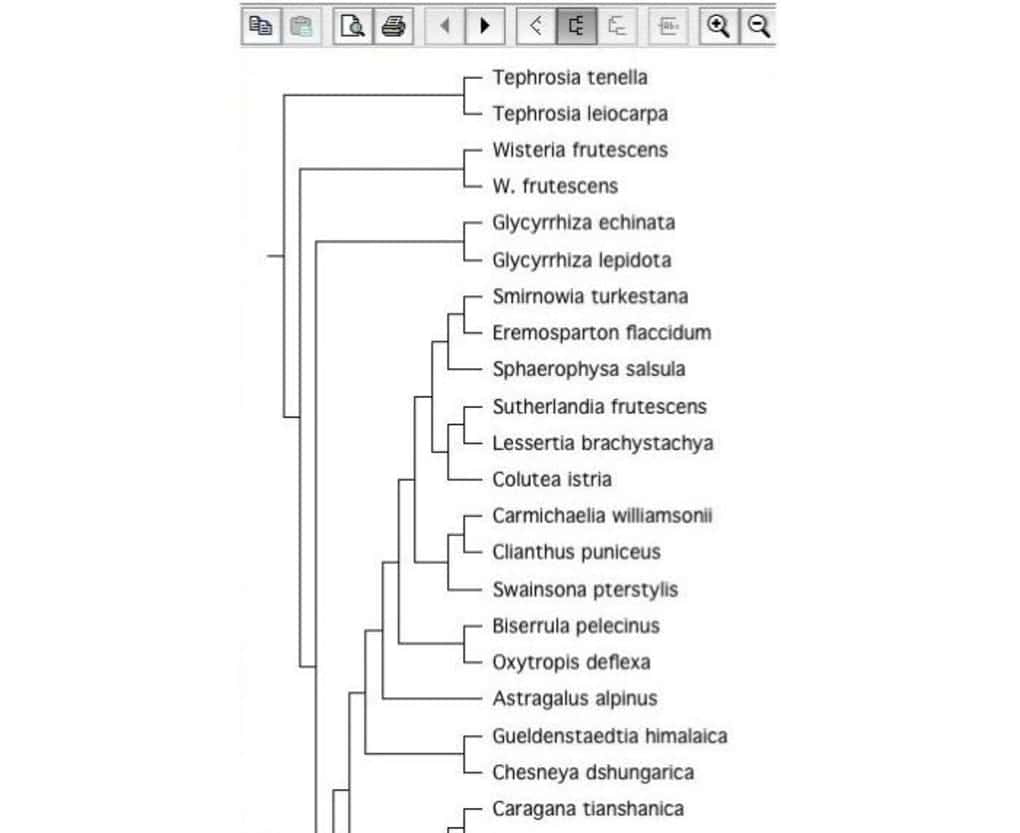 9. TreeView X - Biology Tools for Linux