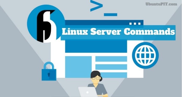 Useful Linux Server Commands for Beginners
