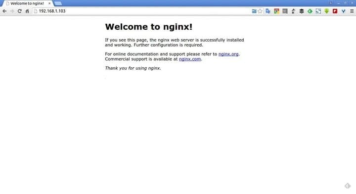 nginx installation commands