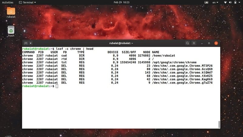 process name parameter for lsof Linux