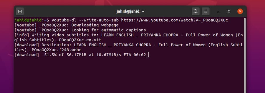 YouTube-DL on Linux subtitle