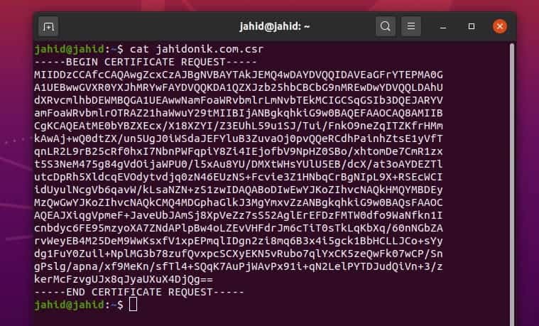 cat view Certificate Signing Request in Linux