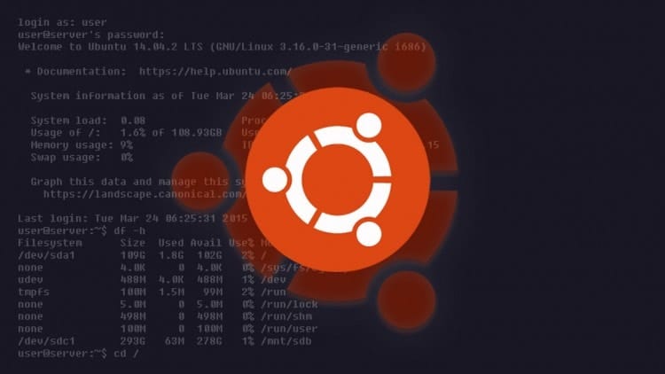 Linux ubuntu server