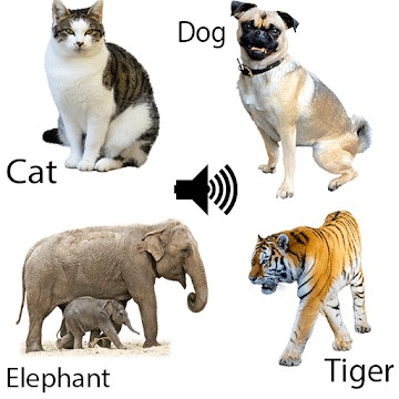 Animal Sounds for Kids