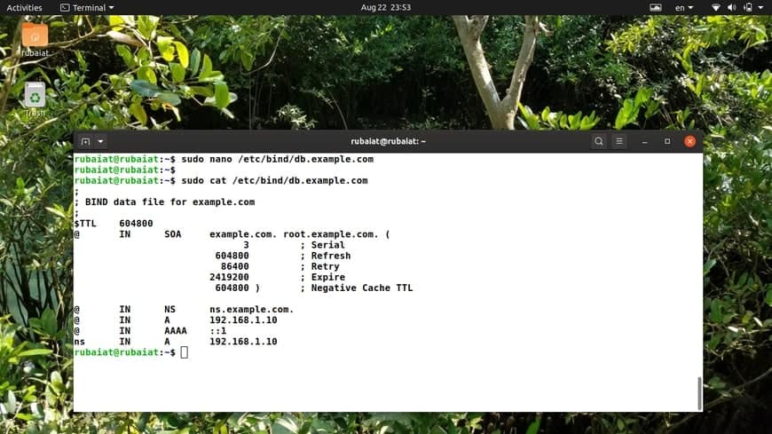 configuring primary DNS server