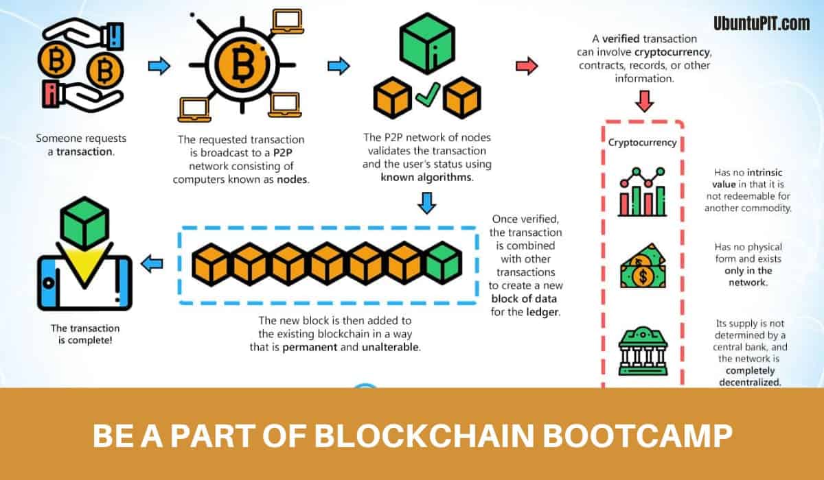 Blockchain Courses for Expert Skills