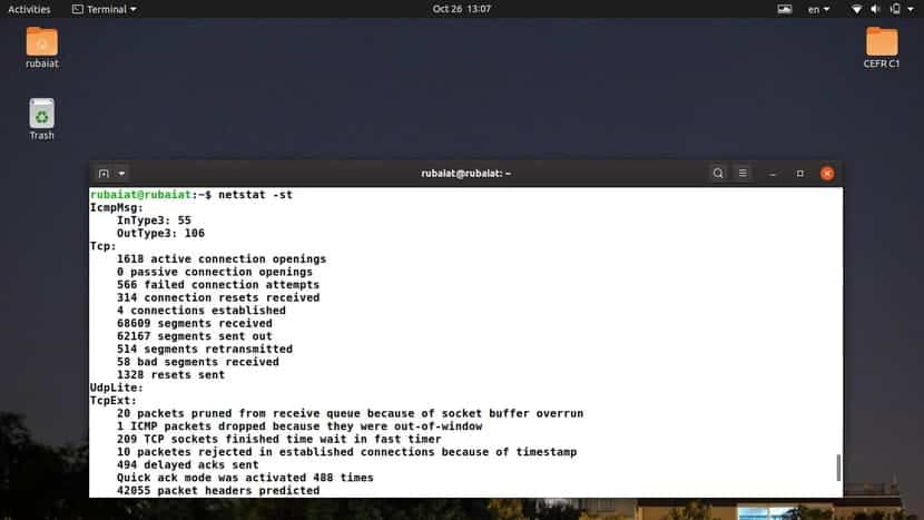 Display TCP statistics using netstat command