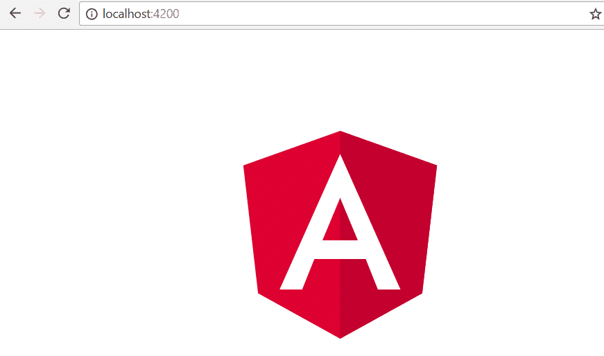 angular webpage on chrome