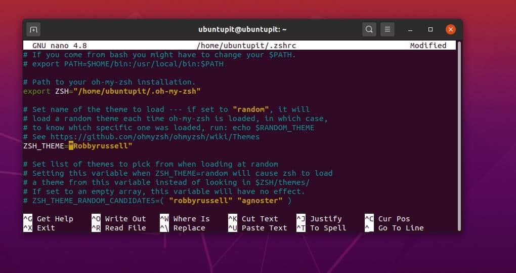 zsh nano configure on linux