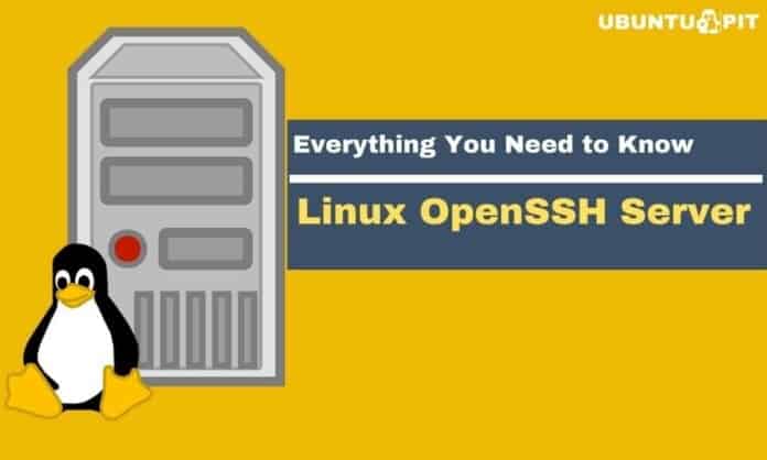 Everything You Need to Know about Linux OpenSSH Server