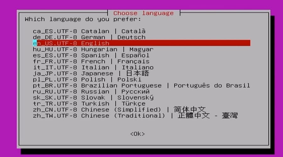 choose language