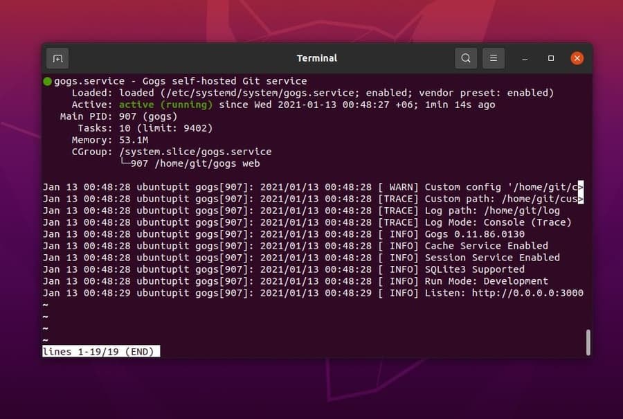 gogs system status on ubuntu