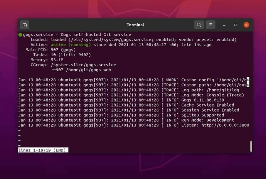 gogs system status on ubuntu