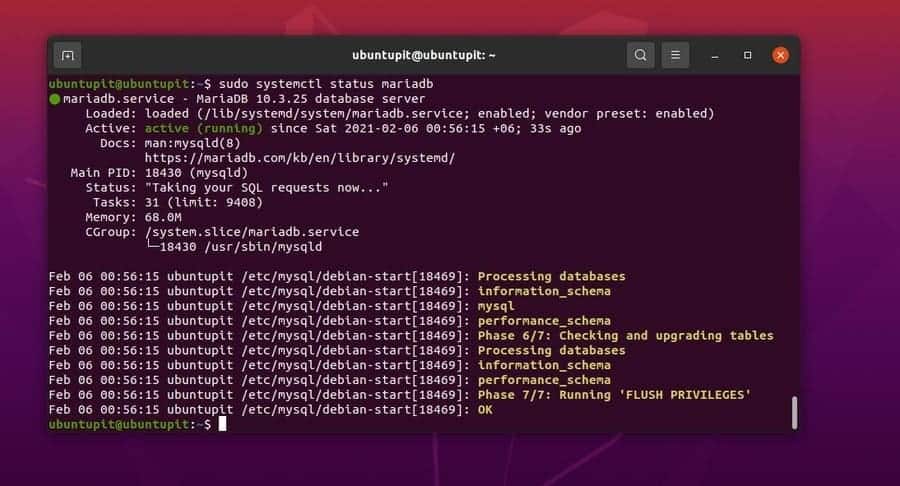 WordPress in Ubuntu MaridaDB status